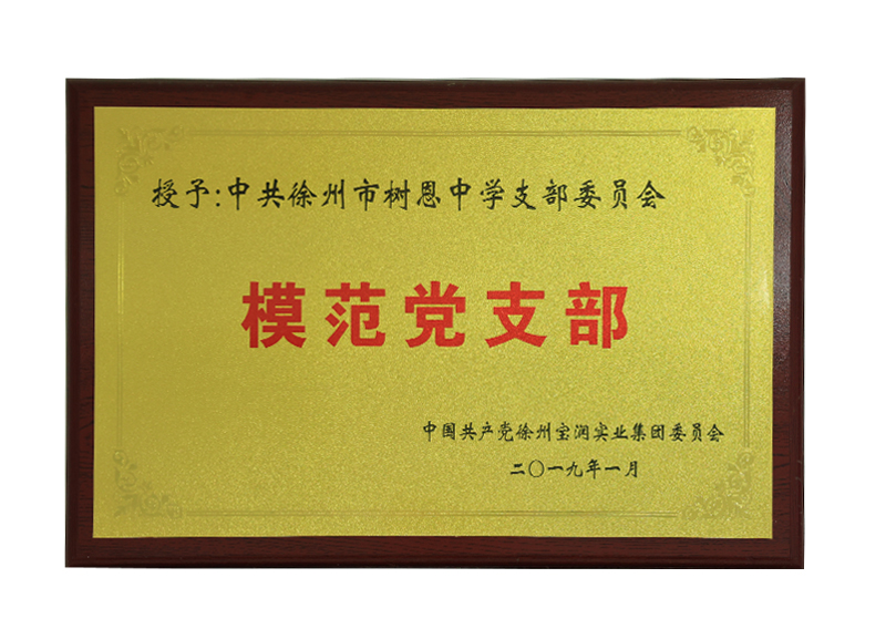模范党支部